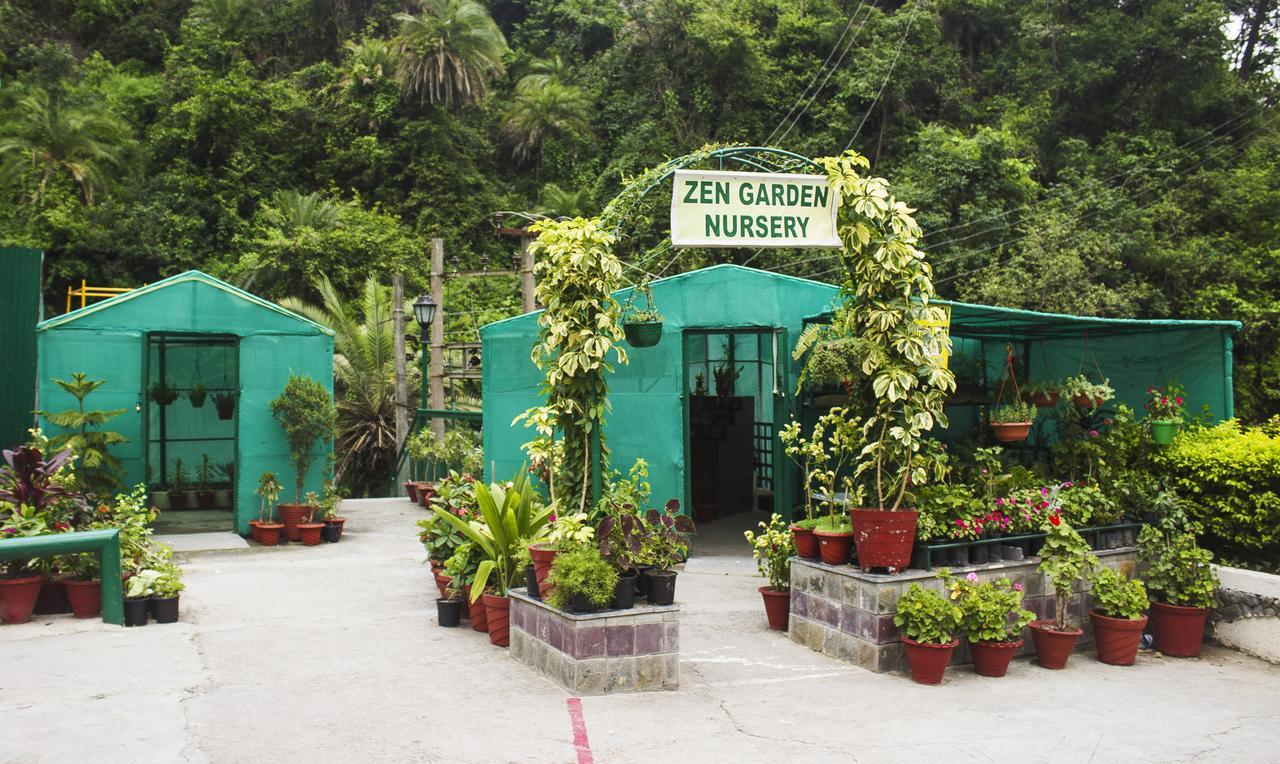 Savoy Greens Hotel Kasauli Kültér fotó