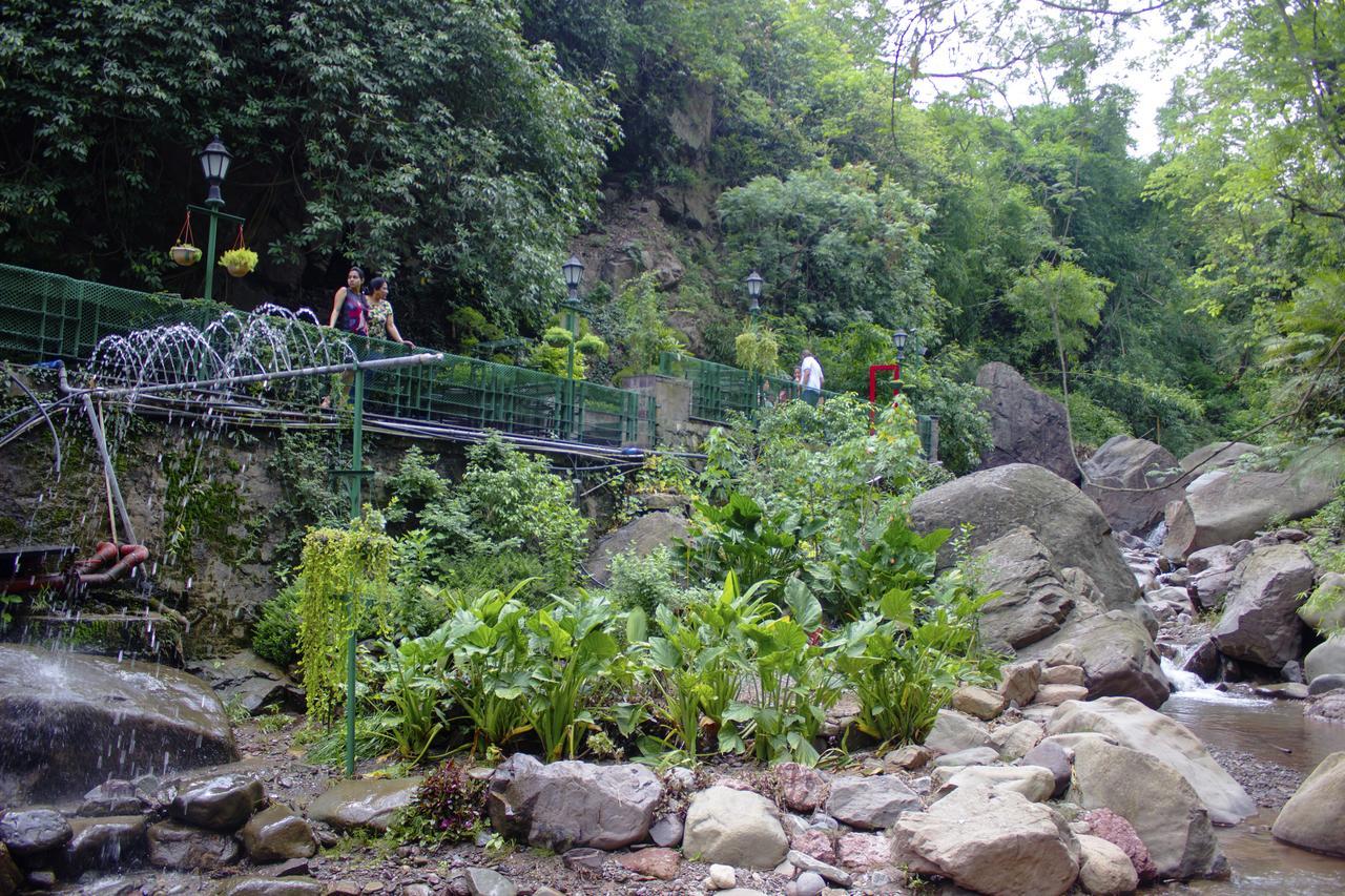 Savoy Greens Hotel Kasauli Kültér fotó